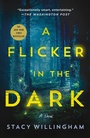 Cover: A Flicker in the Dark - Minotaur Books