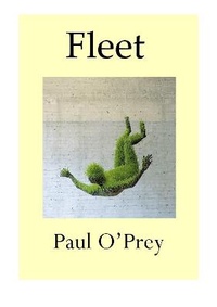 Enlarge image Cover: Fleet - The Melos Press