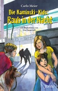 Cover: Die Kaminski-Kids: Raub in der Nacht - Fontis