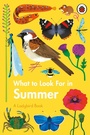 Cover: What to Look For in Summer - Ladybird
