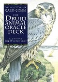 Cover: The Druid Animal Deck - OH