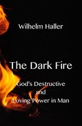 Cover: The Dark Fire - Texianer Verlag