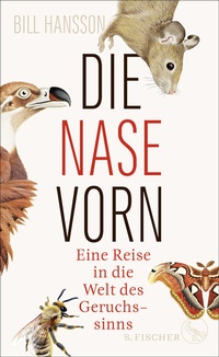 Abbildung von: Die Nase vorn - S. Fischer