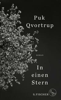 Abbildung von: In einen Stern - S. Fischer