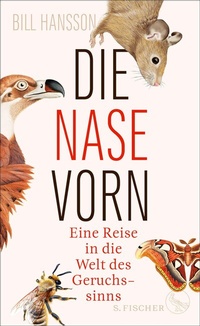 Abbildung von: Die Nase vorn - S. Fischer