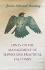 Cover: Hints on the Management of Hawks and Practical Falconry - Read Books Ltd.