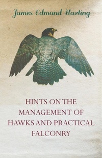 Enlarge image Cover: Hints on the Management of Hawks and Practical Falconry - Read Books Ltd.