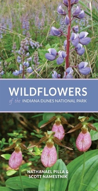 Abbildung von: Wildflowers of the Indiana Dunes National Park - Indiana University Press