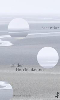 Abbildung von: Tal der Herrlichkeiten - Matthes & Seitz Berlin