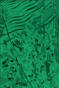 Cover: David Eisl - Verlag f&uuml;r Moderne Kunst