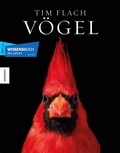 Cover: V&ouml;gel - Knesebeck