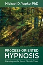 Cover: Process-Oriented Hypnosis - W. W. Norton & Company