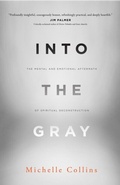Cover: Into the Gray - Quoir