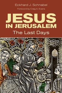 Abbildung von: Jesus in Jerusalem - Eerdmans