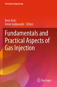 Enlarge image Cover: Fundamentals and Practical Aspects of Gas Injection - Springer