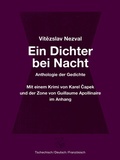 Cover: Ein Dichter bei Nacht - Ketos
