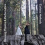 Cover: Devising Theatre and Performance - Intellect Books