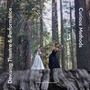 Cover: Devising Theatre and Performance - Intellect Books