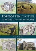 Cover: Forgotten Castles of Wales and the Marches - Logaston Press