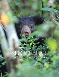 Abbildung von: Sloth Bear - Sunway University Press