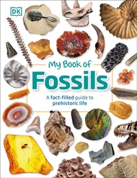 Enlarge image Cover: My Book of Fossils - DK Children