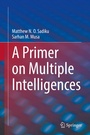 Cover: A Primer on Multiple Intelligences - Springer
