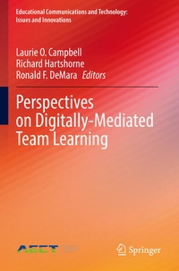 Bild: Perspectives on Digitally-Mediated Team Learning - Springer