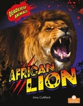 Cover: African Lion - Crabtree Publishing Co,US