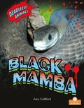 Cover: Black Mamba - Crabtree Publishing Co,US
