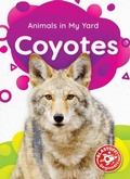 Cover: Coyotes - Bellwether Media