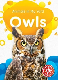Enlarge image Cover: Owls - Bellwether Media