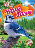 Cover: Blue Jays - Bellwether Media