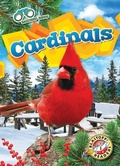 Cover: Cardinals - Bellwether Media