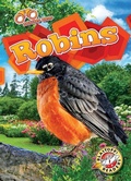 Cover: Robins - Bellwether Media