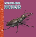 Cover: Fast Facts About Beetles - Raintree