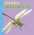 Cover: Fast Facts About Dragonflies - Raintree