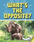 Cover: What's the Opposite? - Raintree