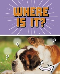 Enlarge image Cover: Where Is It? - Raintree