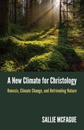 Cover: New Climate for Christology - Fortress Press