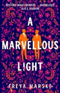 Cover: A Marvellous Light - Tor