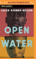 Cover: Open Water - Audible Studios on Brilliance