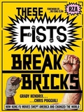 Cover: These Fists Break Bricks - Mondo Books