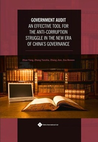 Abbildung von: Government Audit - Paths Publishing Group