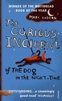 Cover: The Curious Incident of the Dog in the Night-time - Vintage