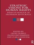 Cover: Strategic Visions for Human Rights - Routledge