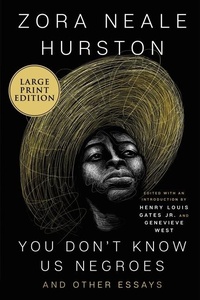 Abbildung von: You Don't Know Us Negroes And Other Essays [Large Print] - HarperCollins