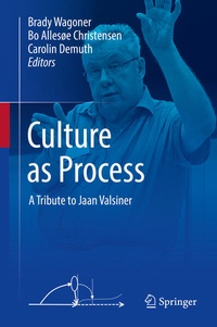 Enlarge image Cover: Culture as Process - Springer