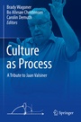 Cover: Culture as Process - Springer