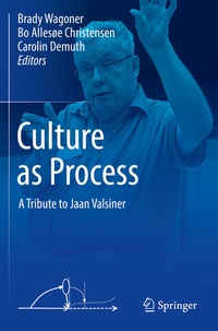 Enlarge image Cover: Culture as Process - Springer