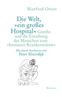 Cover: Die Welt, »ein großes Hospital« - Wallstein